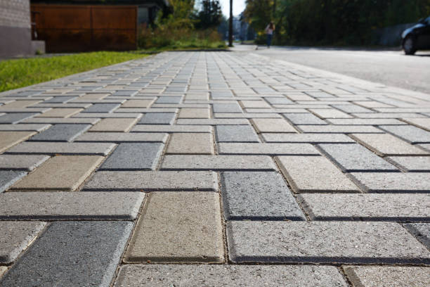 Best Local Driveway Pavers  in Cartervle, IL